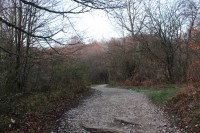 /album/a2-nap-roncesvalles-zubiri/img-0163-resize-jpg/