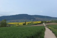 /album/a4-nap-pamplona-puente-la-reina/img-0472-resize-jpg/