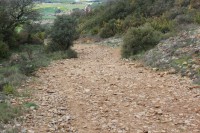 /album/a4-nap-pamplona-puente-la-reina/img-0525-resize-jpg/